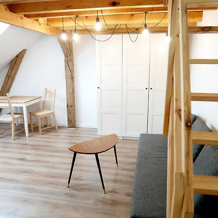 Apartament W Starej Kamienicy グリヴィツェ
